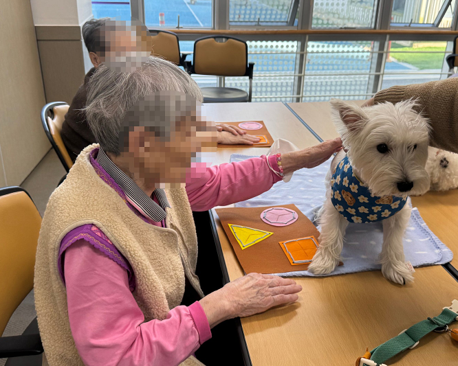 0ab357cd0f879824e339ae391972518f_1761214224_4442.png 0ab357cd0f879824e339ae391972518f_1761214224_4442.png