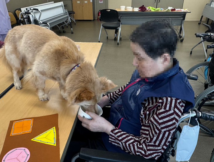 0ab357cd0f879824e339ae391972518f_1761214326_4814.png 0ab357cd0f879824e339ae391972518f_1761214326_4814.png