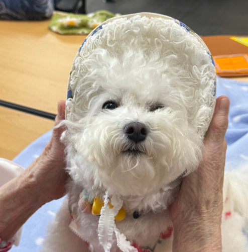 0ab357cd0f879824e339ae391972518f_1761214446_1135.png 0ab357cd0f879824e339ae391972518f_1761214446_1135.png