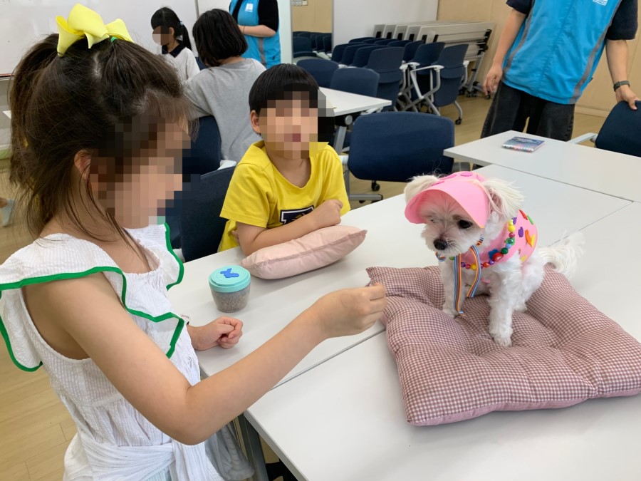 4f33fb09899aa96b59cedb1334228b82_1760890983_2726.jpg 4f33fb09899aa96b59cedb1334228b82_1760890983_2726.jpg