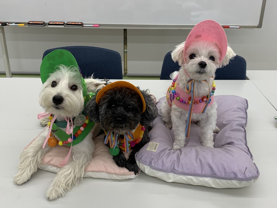 4f33fb09899aa96b59cedb1334228b82_1760890984_6572.jpg 4f33fb09899aa96b59cedb1334228b82_1760890984_6572.jpg