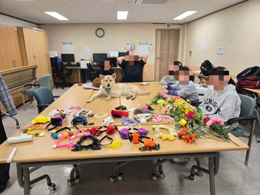 03205a63ac6e837950914fe61ab4fe24_1762737888_4835.jpg 03205a63ac6e837950914fe61ab4fe24_1762737888_4835.jpg