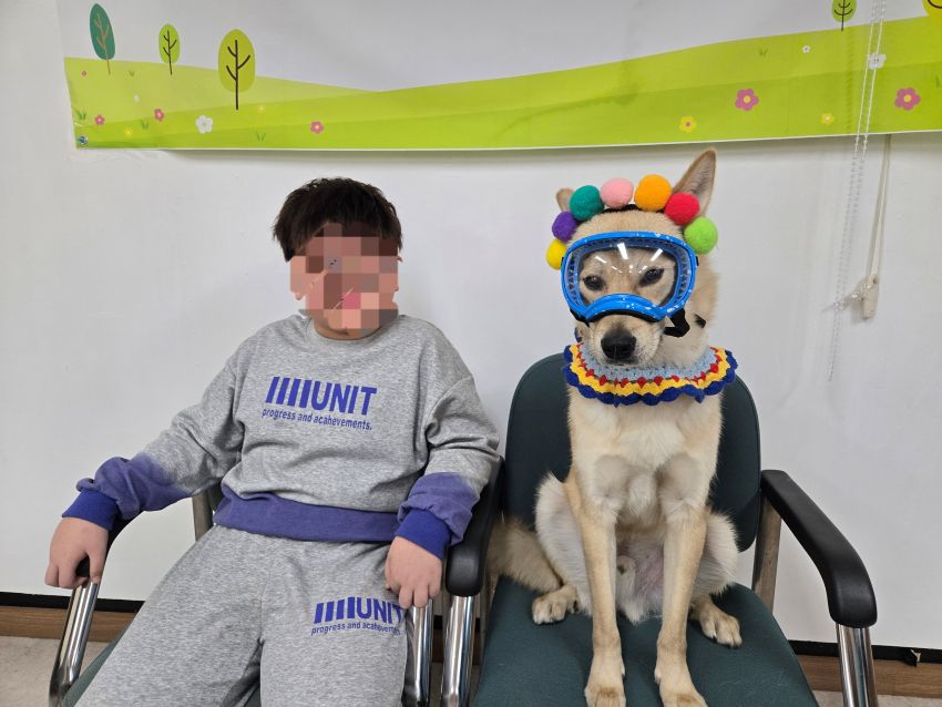 03205a63ac6e837950914fe61ab4fe24_1762738221_7285.jpg 03205a63ac6e837950914fe61ab4fe24_1762738221_7285.jpg