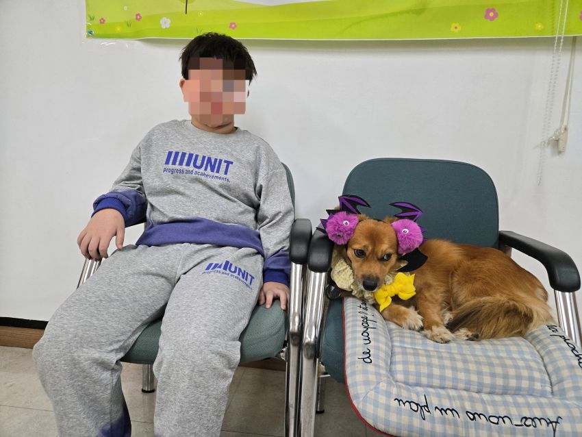 03205a63ac6e837950914fe61ab4fe24_1762738221_9631.jpg 03205a63ac6e837950914fe61ab4fe24_1762738221_9631.jpg