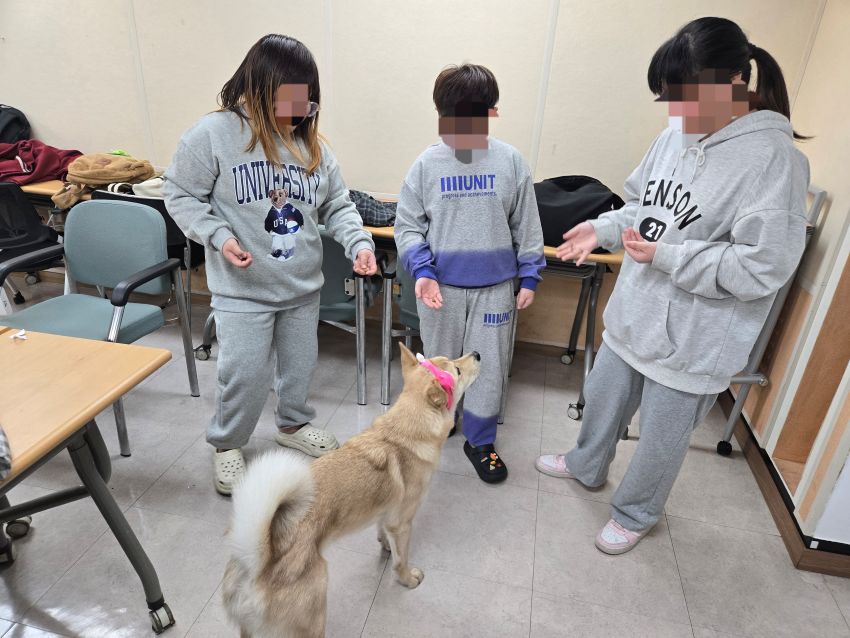 03205a63ac6e837950914fe61ab4fe24_1762738304_9876.jpg 03205a63ac6e837950914fe61ab4fe24_1762738304_9876.jpg