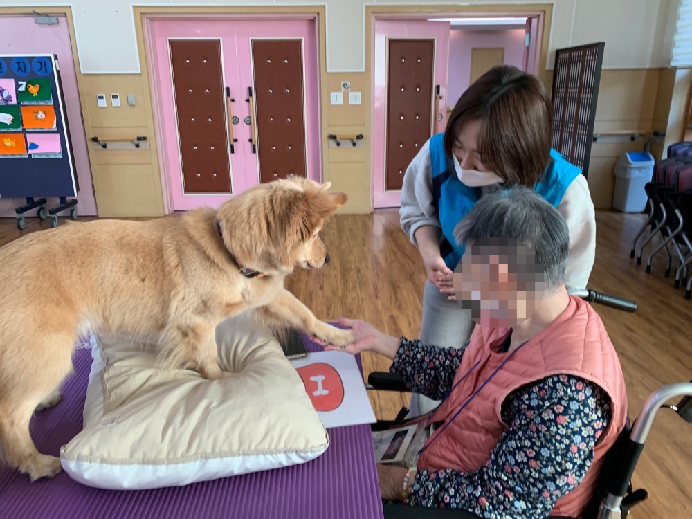 2c70de6d3ba264a7be255cd77ca35aa9_1763306677_6902.jpg 2c70de6d3ba264a7be255cd77ca35aa9_1763306677_6902.jpg