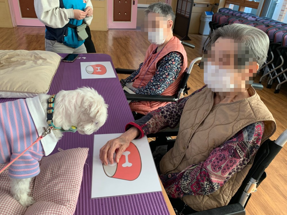 2c70de6d3ba264a7be255cd77ca35aa9_1763306677_7461.jpg 2c70de6d3ba264a7be255cd77ca35aa9_1763306677_7461.jpg