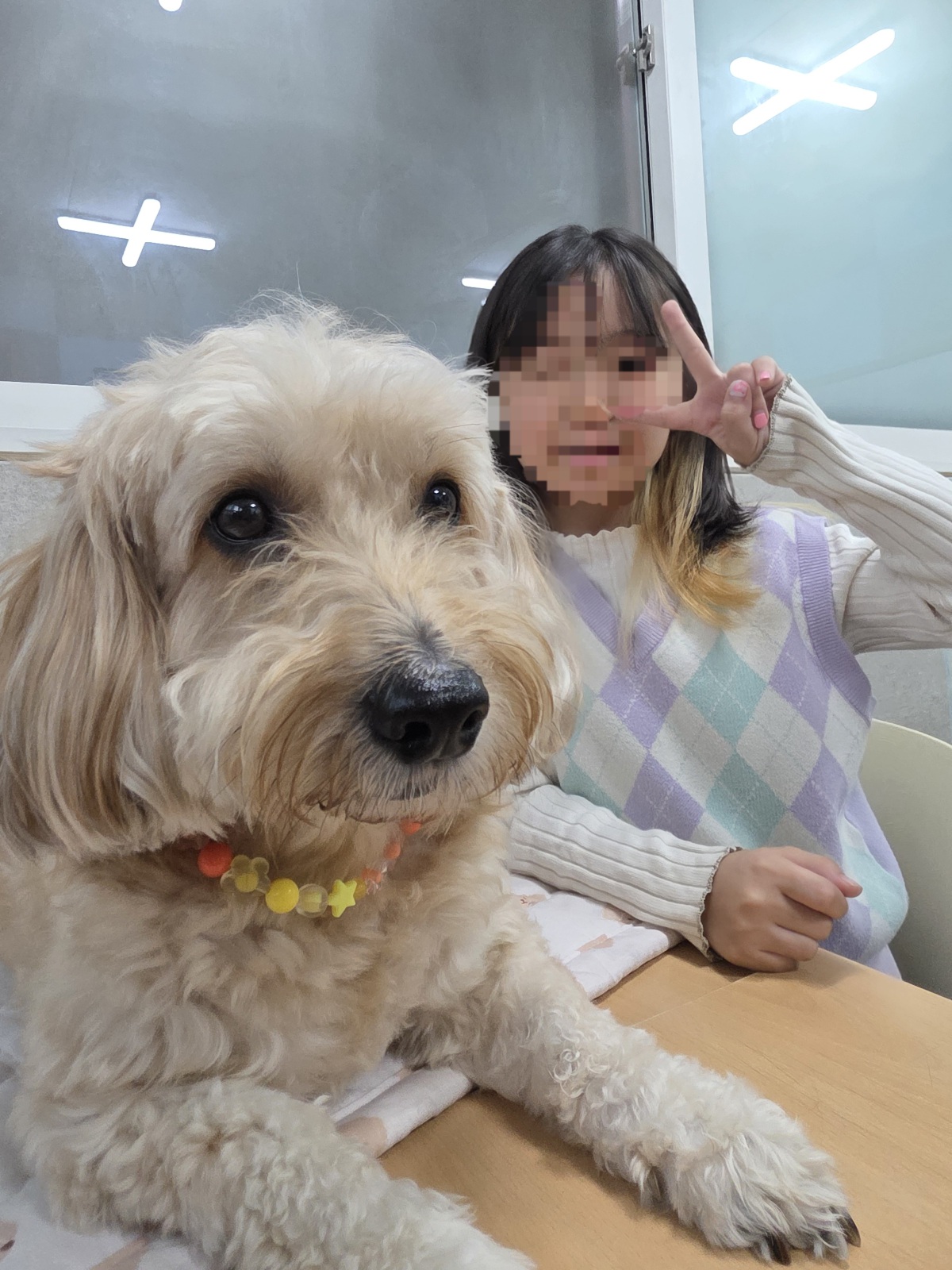 2e58495e20593aed0b885a2d866edbb5_1762014081_7219.jpg 2e58495e20593aed0b885a2d866edbb5_1762014081_7219.jpg