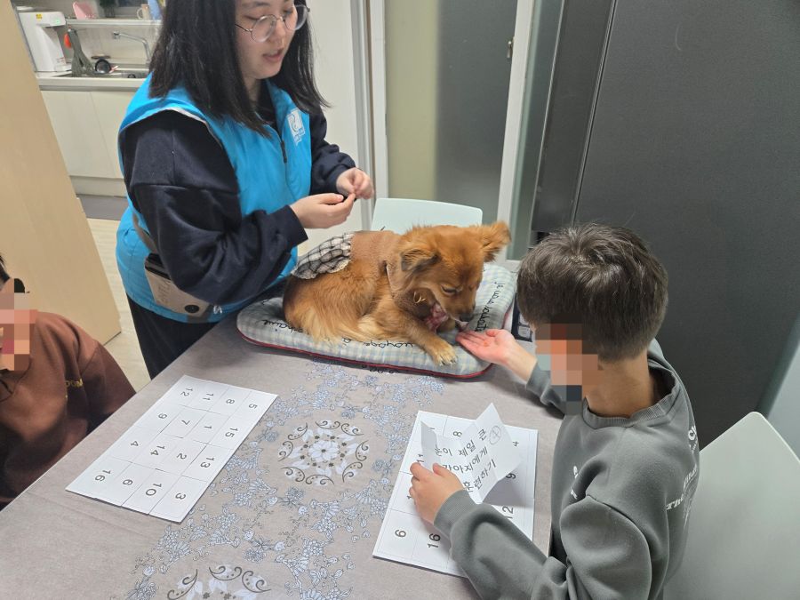 234800a25a0758ce61df57440c96a1c0_1765802974_6604.jpg 234800a25a0758ce61df57440c96a1c0_1765802974_6604.jpg