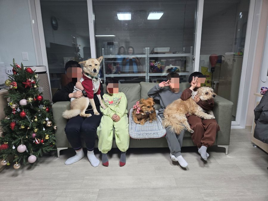 234800a25a0758ce61df57440c96a1c0_1765803662_5377.jpg 234800a25a0758ce61df57440c96a1c0_1765803662_5377.jpg